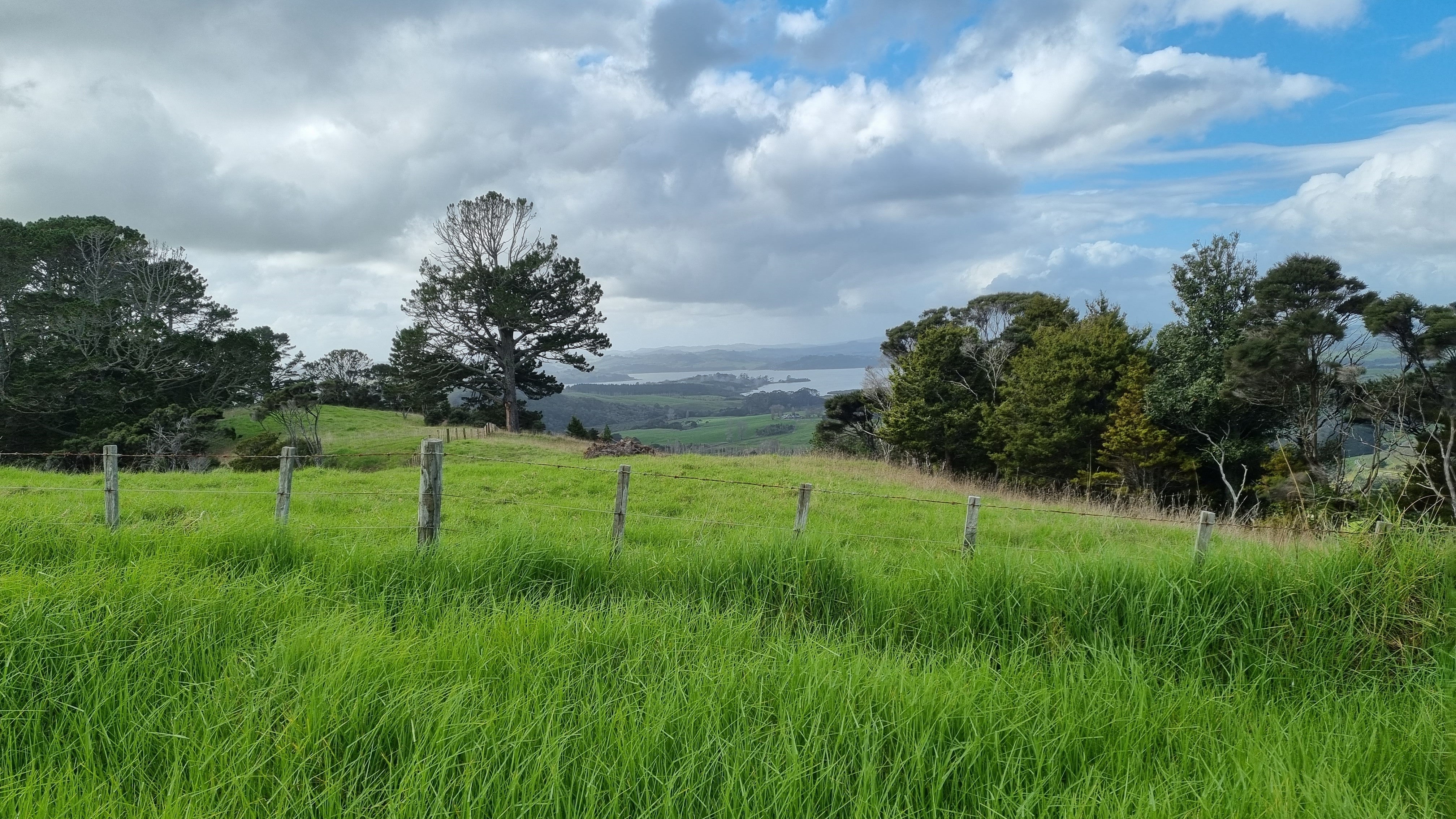 Q+A: Is going off the grid legal?