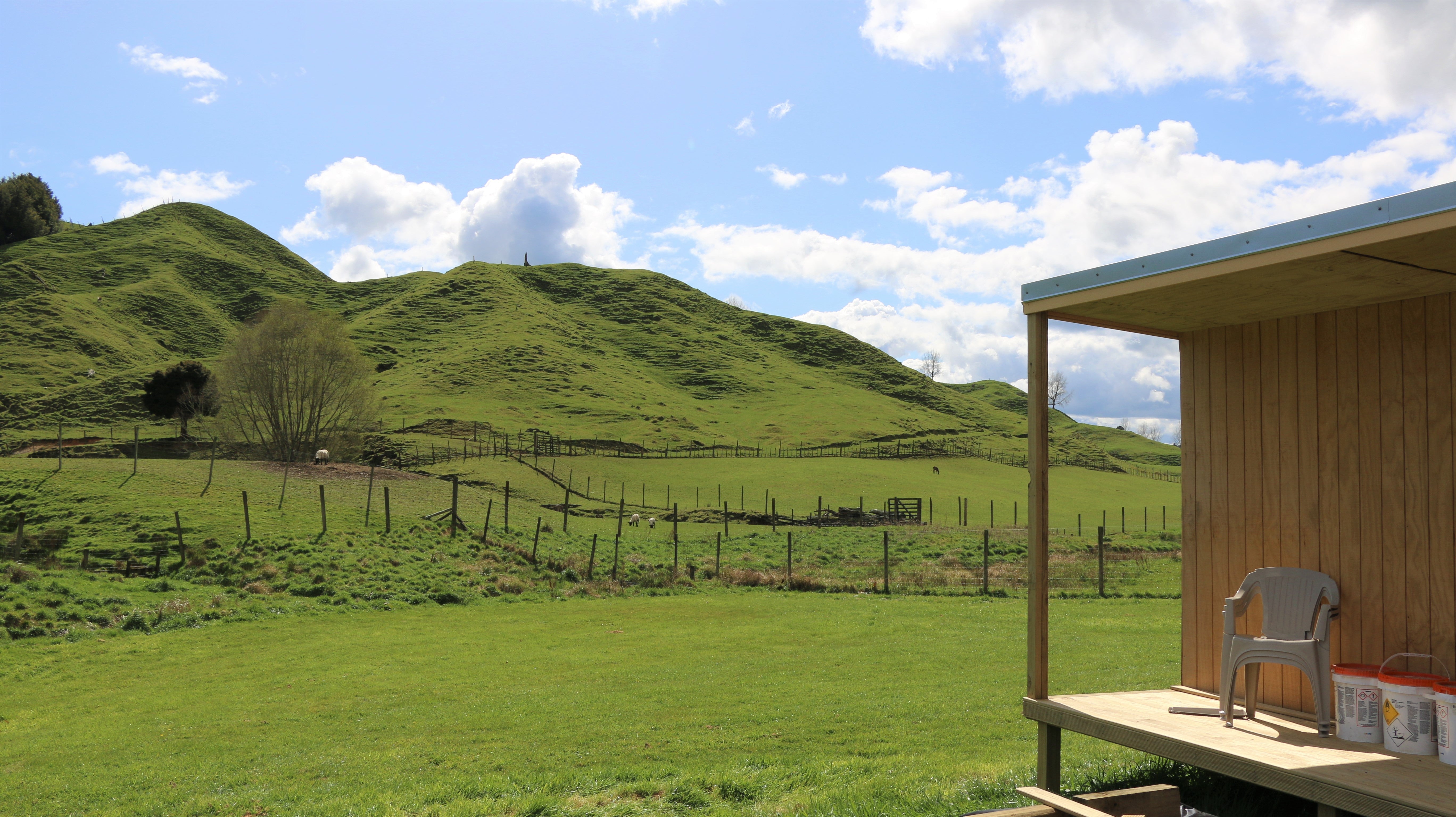 Q+A: What Does Grid Free Mean and How to Go off the Grid with Solar