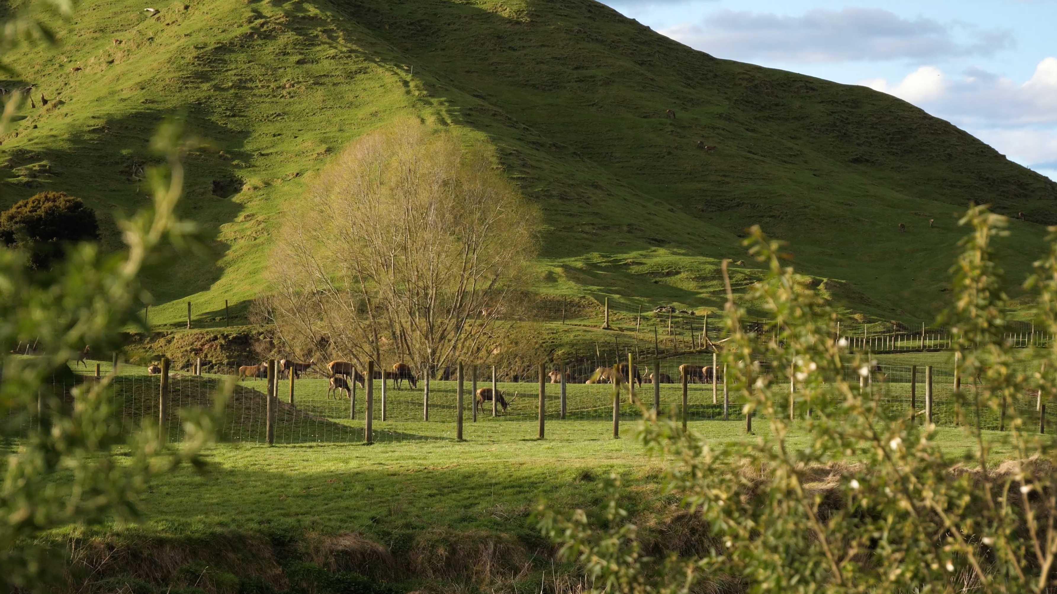 10 Things to be aware of when buying bare land for off grid living