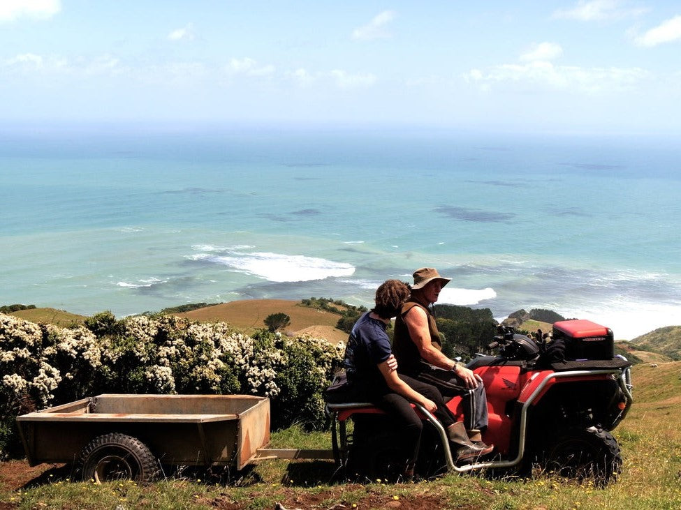Pete's Converted Shed in Raglan