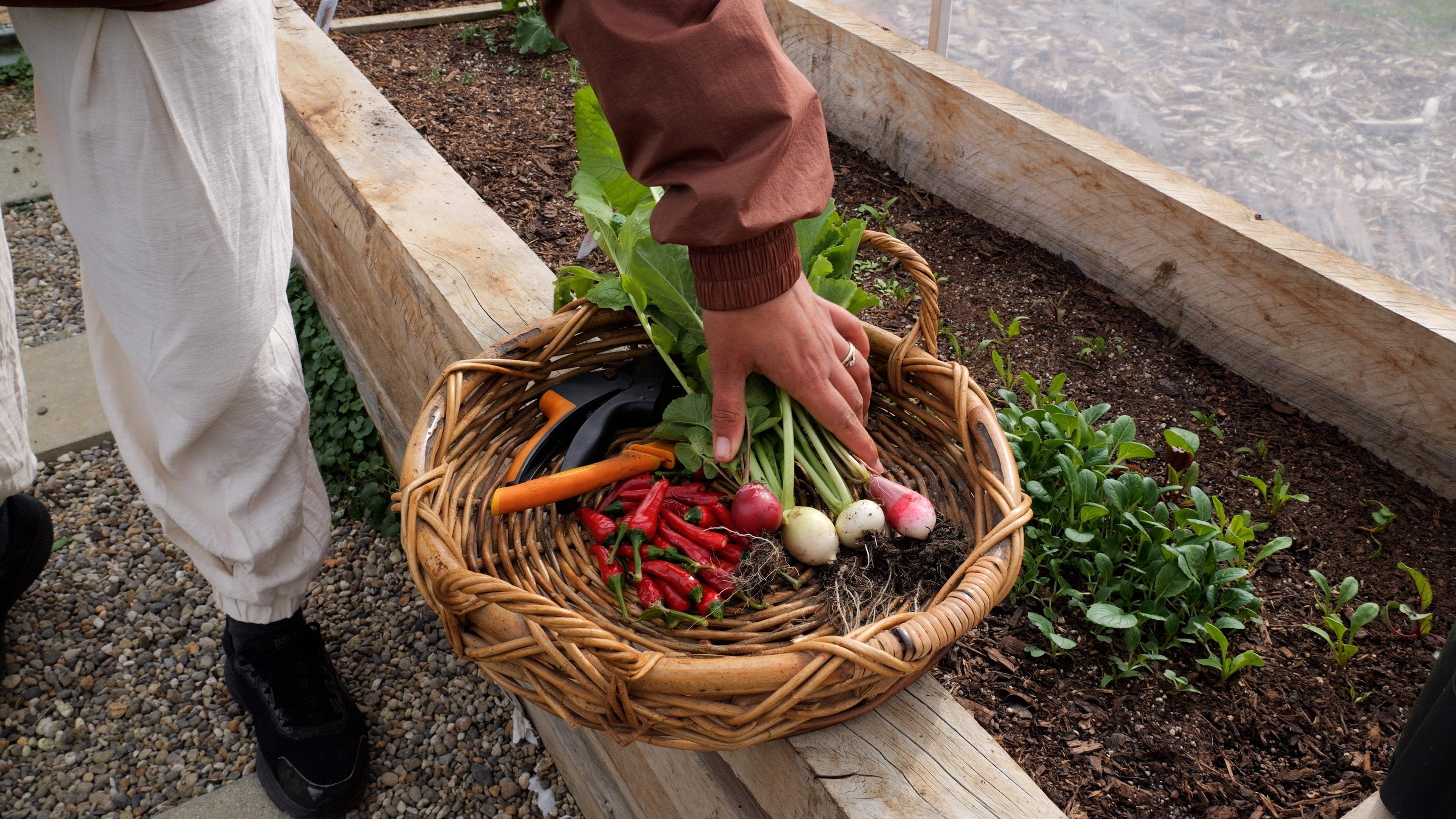 Off-Grid Living in New Zealand: Why More Kiwis Are Choosing Freedom, Whenua, and Self-Sufficiency