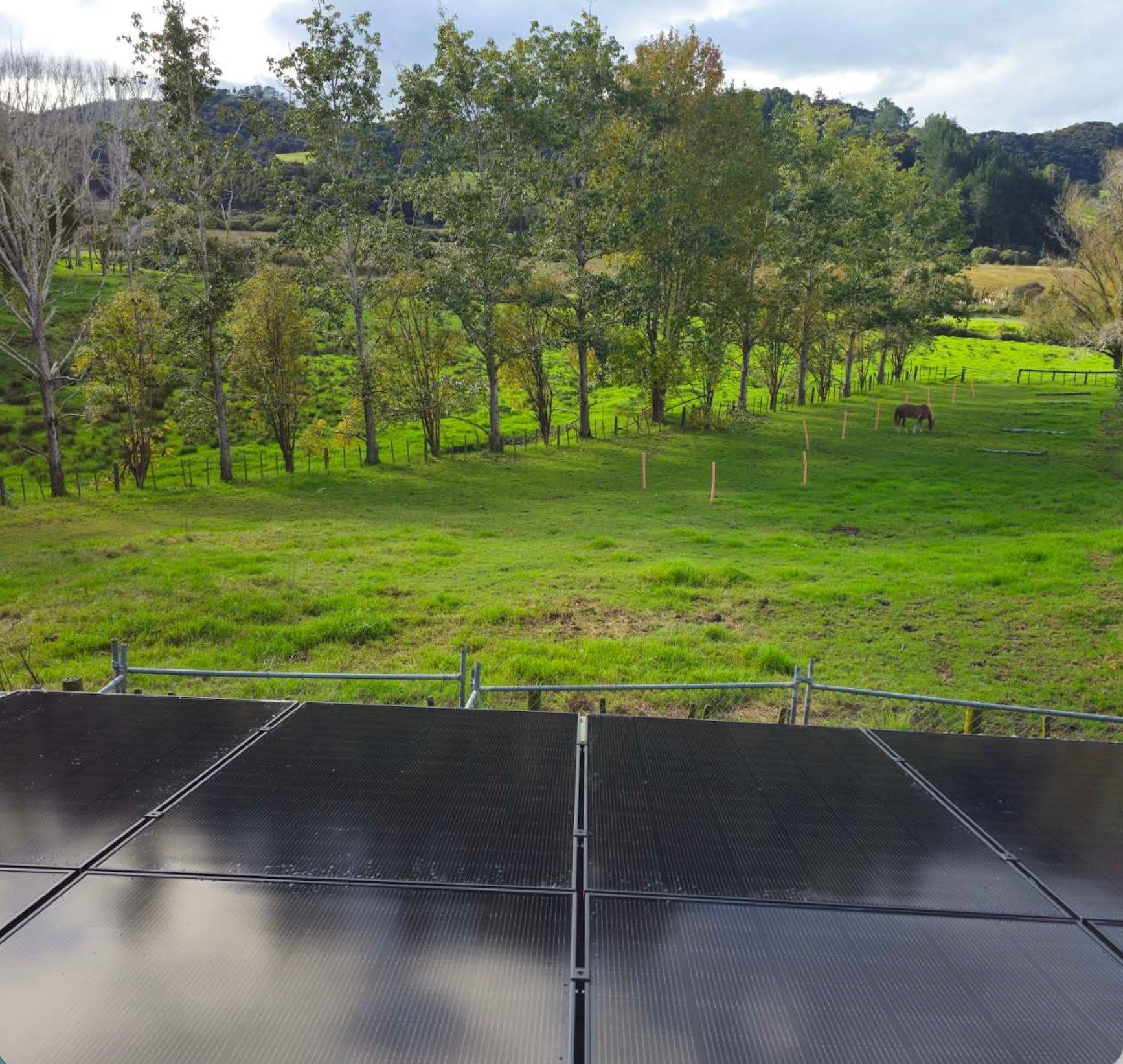 Helen's Off-grid Journey in Kerikeri