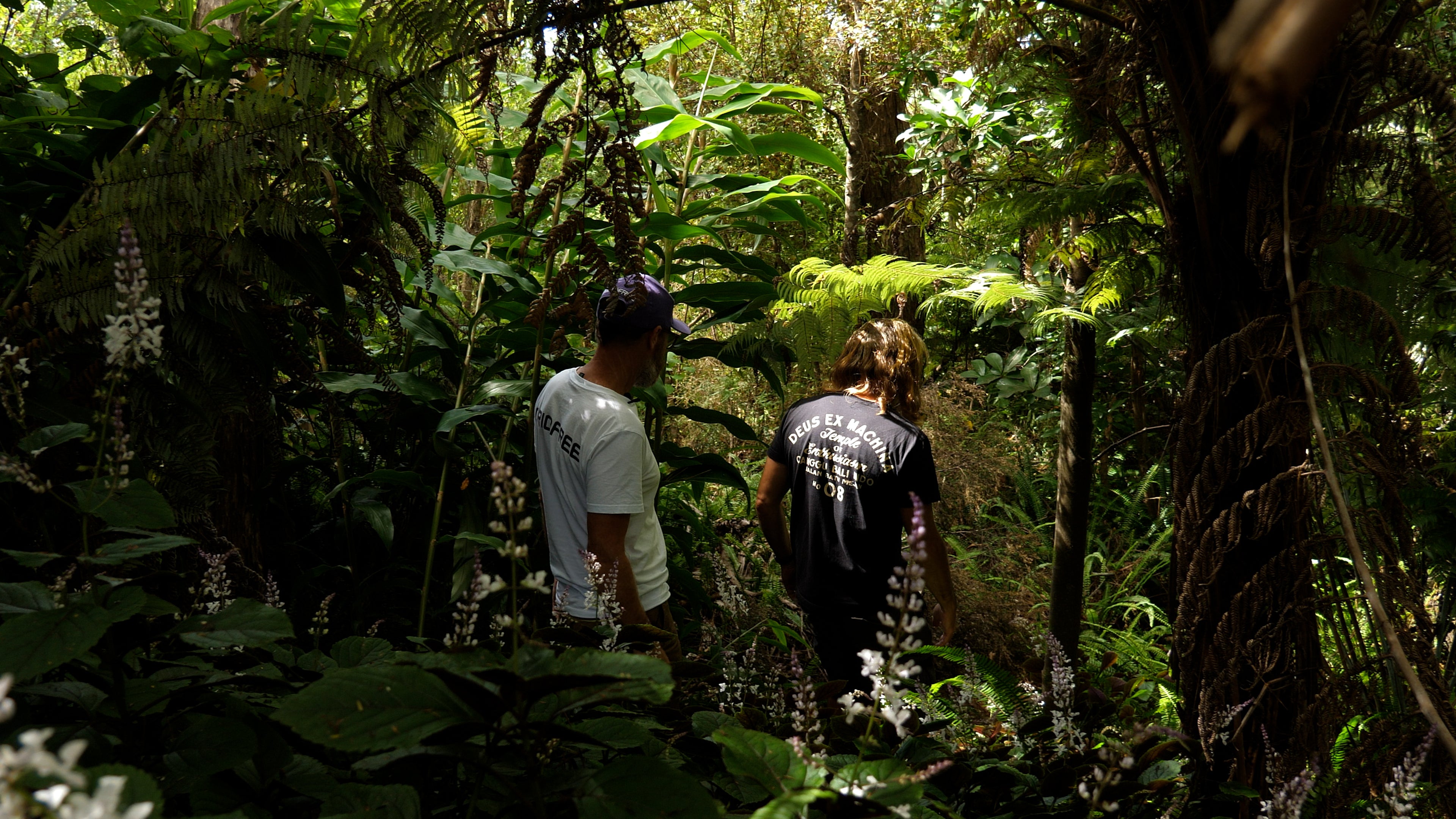 Dan_Craig__BUSH_3.59.39_PM_copy.jpg