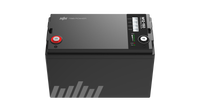 LIBERGRID M12-150 Lithium Battery