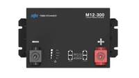 LIBERGRID M12-300 Lithium Battery