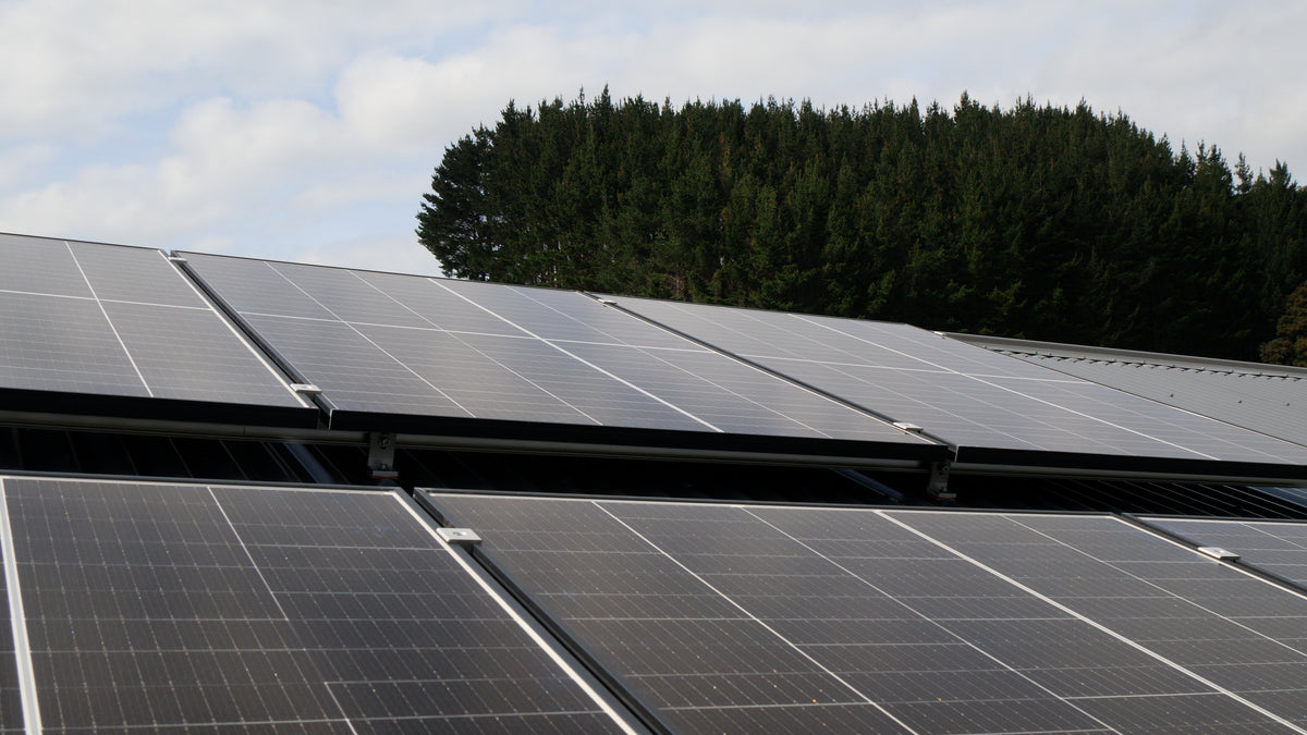 Solar_Panels_85981715-714e-455d-bef4-4201bbab9a00.jpg